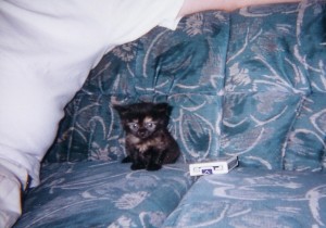 lilgirlasababy
