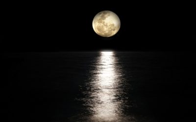 2021: Daily Transformation In Harmony with the Moon Cycles